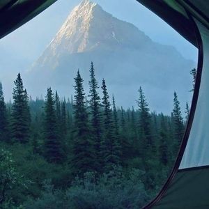 Meet your Posher, Shane